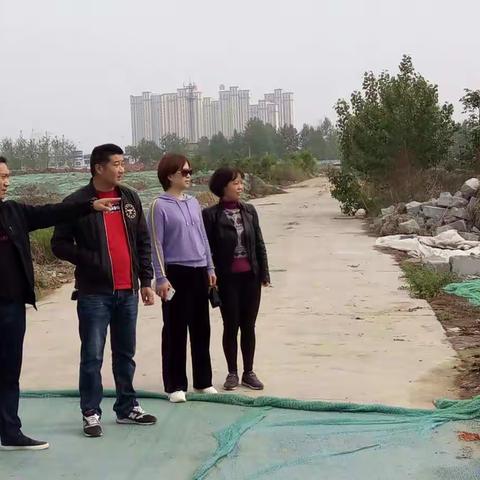 西关街道办事处：推进地上清表 助力项目建设