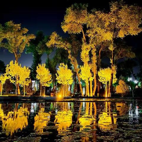 夜幕下的胭脂湖