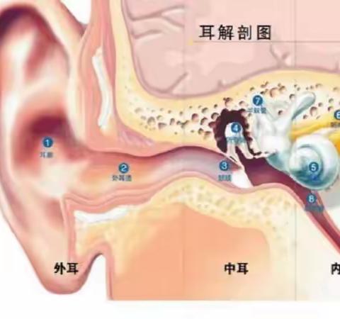 3月3日全国爱耳日