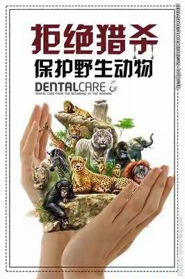 保护野生动物倡议书