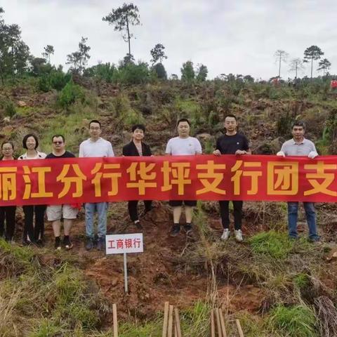 丽江分行华坪支行团支部开展全民义务植树活动