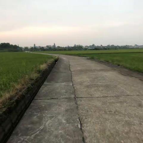 夏天的傍晚