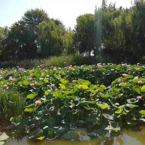 老顽童-墨萱爷爷的美篇