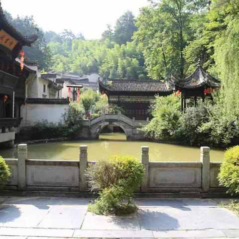 绩溪老年大学2019届太极四班毕业活动剪影