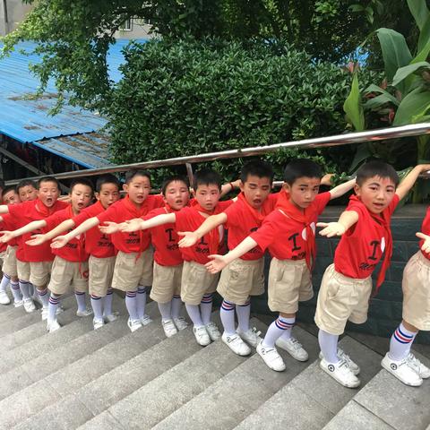 新星小学2019年1年级暑假生活实践活动安排：