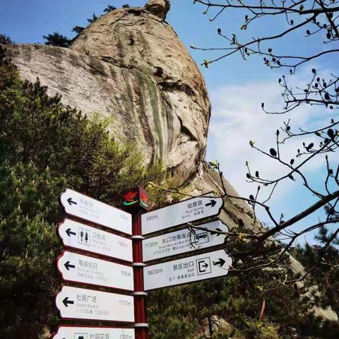 人间四月天 龟峰看杜鹃