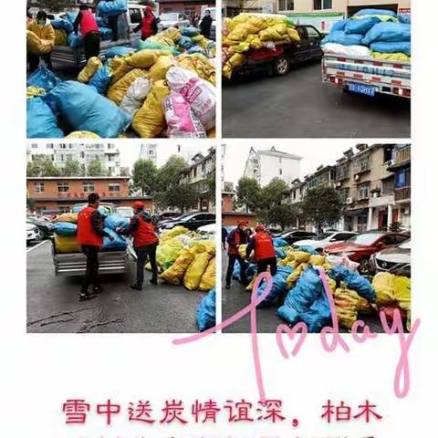 一片绿叶一片情，携手互助战疫情