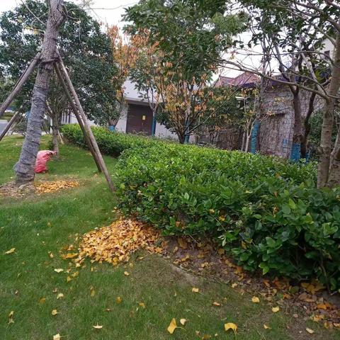 净园行动，从我做起