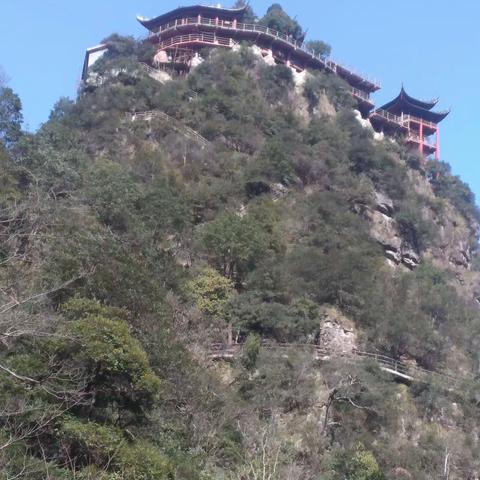 柳城小学二(4)班龚天宇，2021寒假实践游国家森林公园一日游乡貌章！