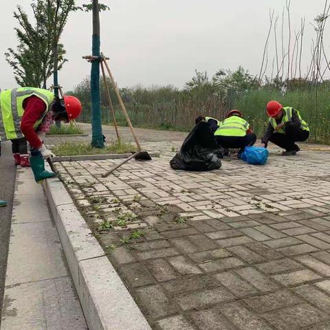 创建卫生城市、我们在行动