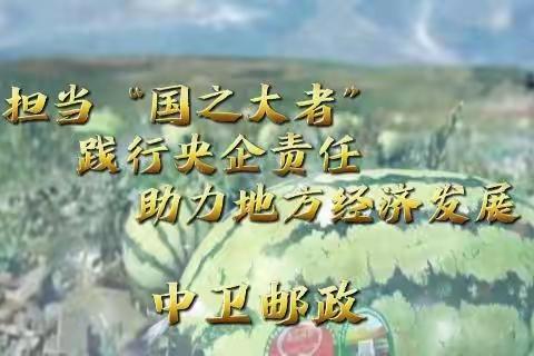 担当“国之大者” 践行央企责任  中卫邮政多措并举助力地方经济发展