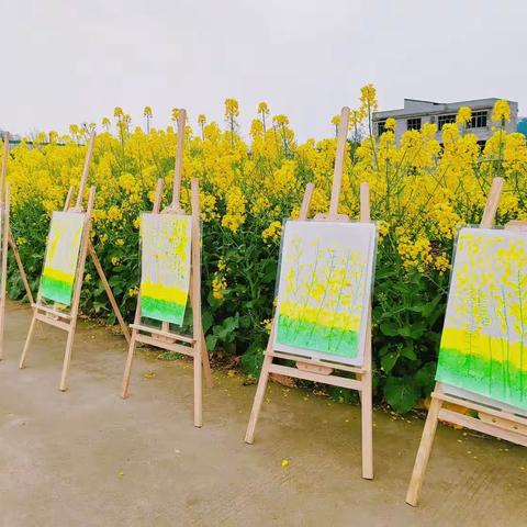 龙宫镇幼儿园小班班本课程《“油”你“菜”美》