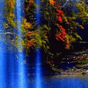 崇州市怀远镇【龙潭村】稻田养鱼丰收捕鱼2017.12.30