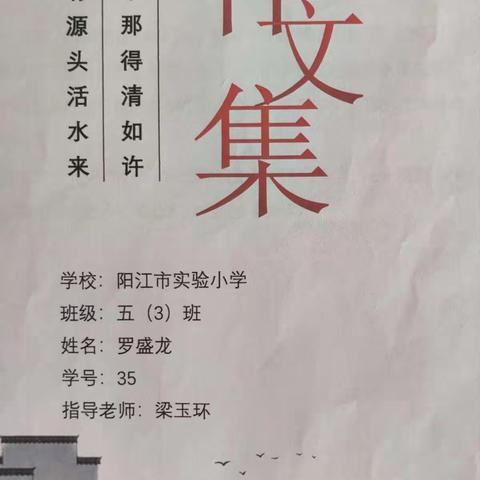 学生个人作文集