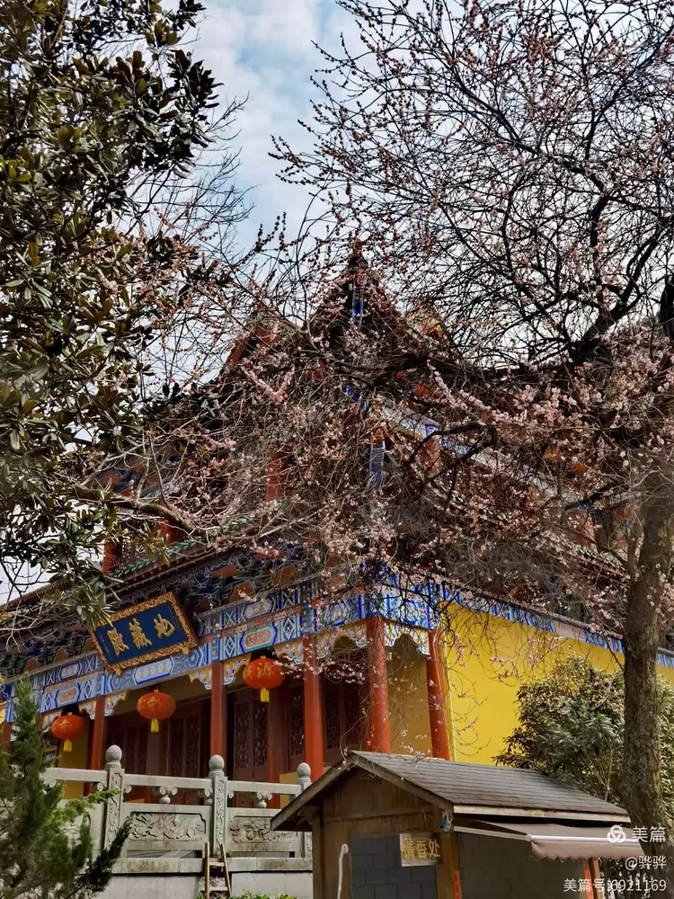 东天目山超度殊胜吗-齐素萍东天目山的现状 东天目山超度殊胜吗-齐素萍东天目山的现状