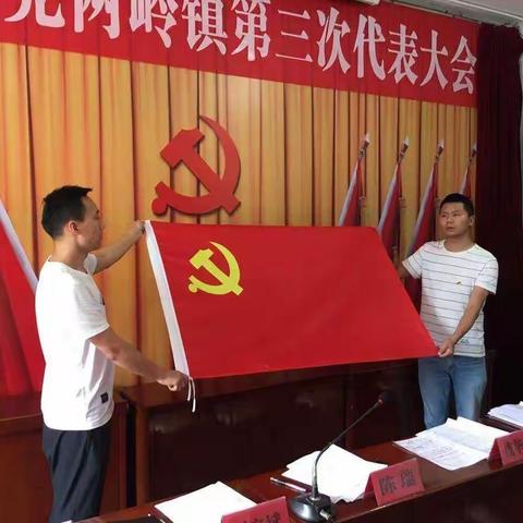 山阳县两岭镇开展形式多样的活动庆祝中国共产党成立100周年