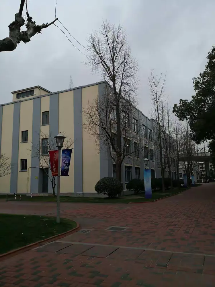 红楼逸夫楼红楼龙门楼背影图书馆图书馆图书馆