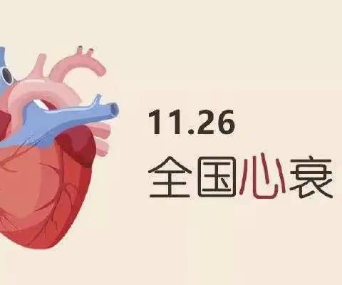 “11·26全国心力衰竭日”用心守护，健康同行