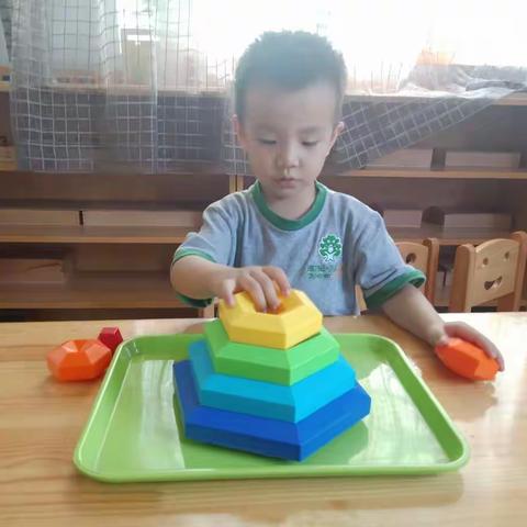  金鱼的美篇