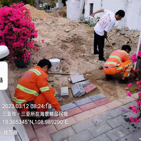 崖州区梅山片区3月12日工作简报