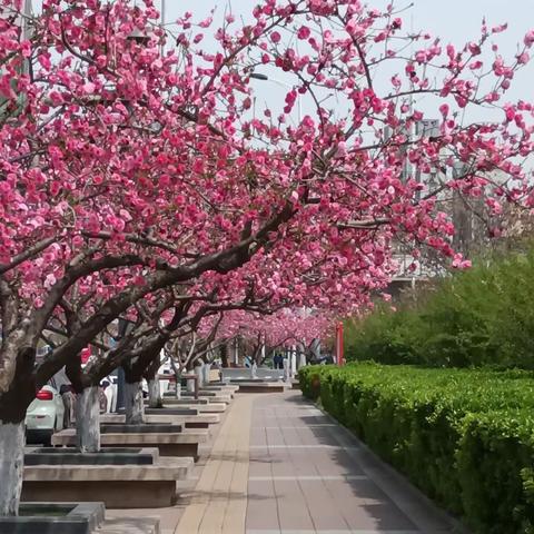 奥园春夏之景 2022_5_20
