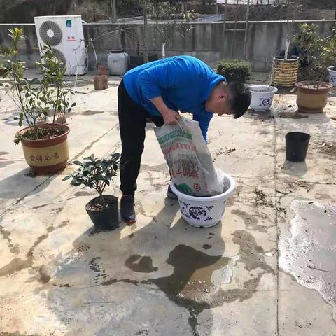 新锐医药有限公司举办“3.12植树节”