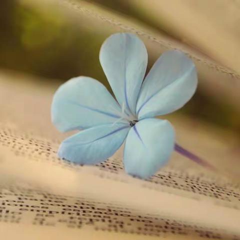 【塔河一中九年四班诵读展示特辑】走进书香乐园，品味多彩生活！