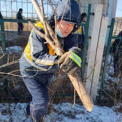 伐树—桥梁检测维修一队