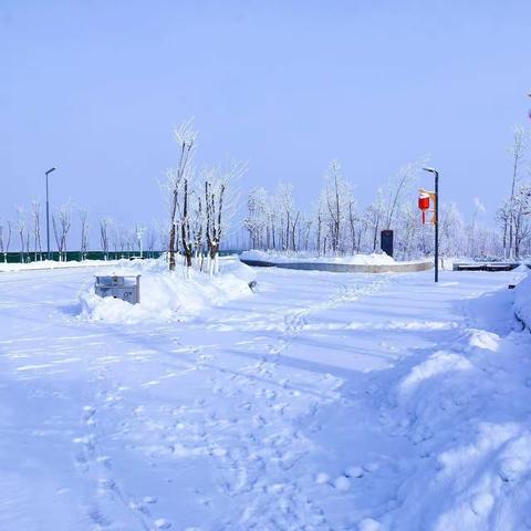 森林公园雪景