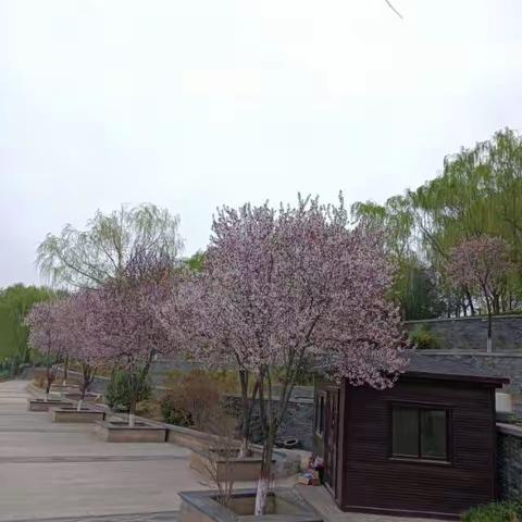 桃花汉城湖