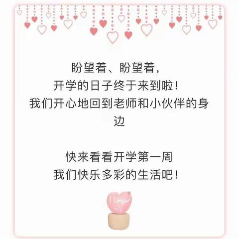 花开“疫”散，“净”待归来  第一周