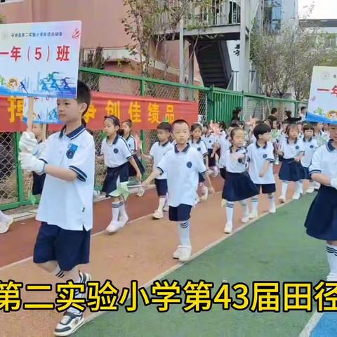 向阳而动，逐光而行——苍南县第二实验小学第43届运动会