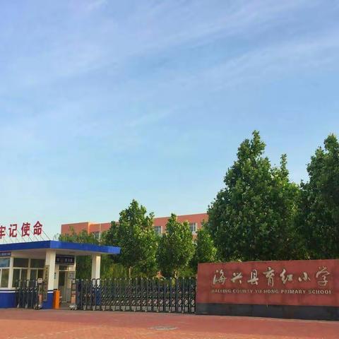 多彩暑假，缤纷生活——记育红小学暑假学习生活指导方案