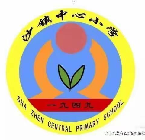 “巧手妙思  创意无限”——沙镇中心小学自制教具评选活动