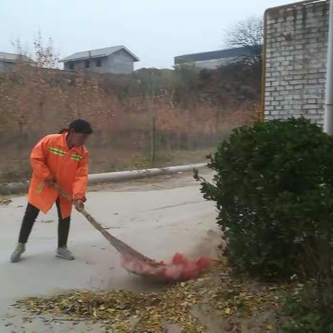 芝阳镇环境卫生整治11月17日 工作动态