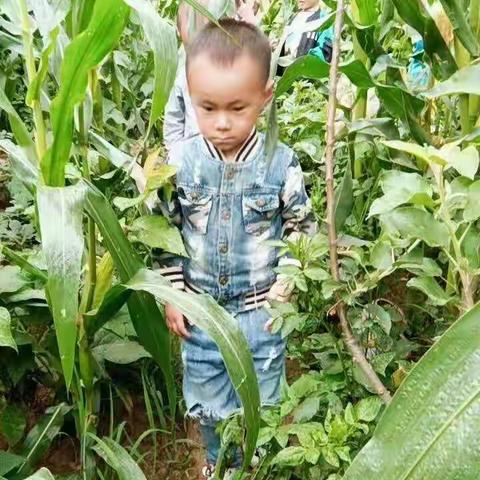 发耳镇创世纪幼儿园豆豆班向远博小朋友的小班生活