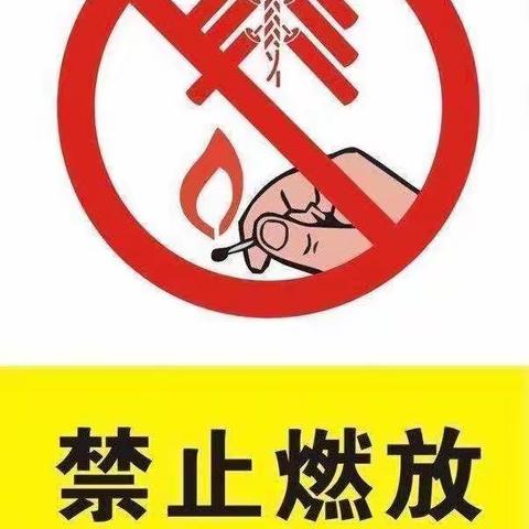 兰沃中心小学“禁止燃放烟花爆竹”倡议书