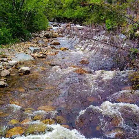 野走 Gros Morne Mountain，加拿大纽芬兰