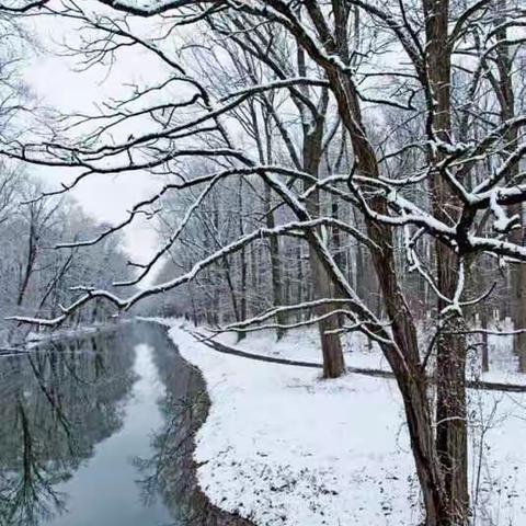 阳春三月有小雪