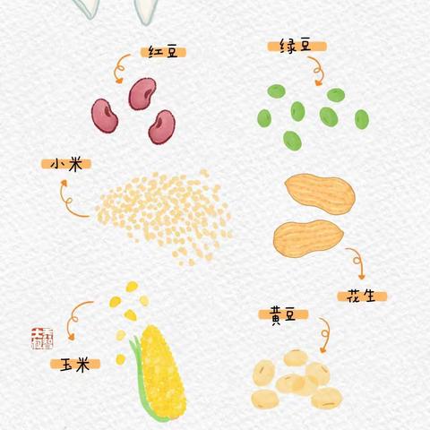 今日“腊八节”丨给幼儿园小朋友的五谷杂粮图鉴