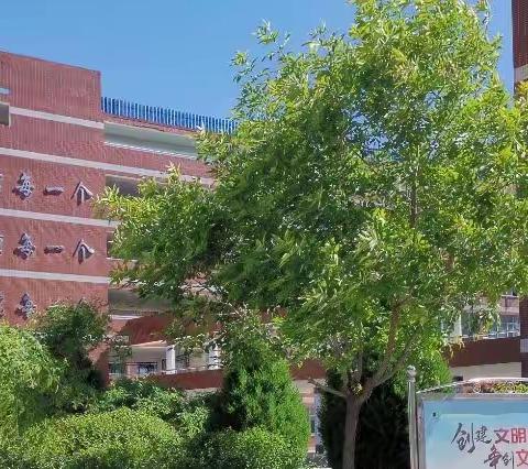 夯基础，找差距，重课堂，再前进——银川唐徕回中宝湖校区初二物理备课组召开复课学业检测质量分析会