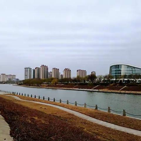 再来一组滏阳河畔晨景
