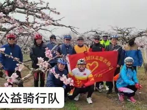 马志刚关注骑行五马桃花源8小时前阅读146骑行是一种爱好，不仅锻炼身体，还锻炼人的意志，没有一定的毅。