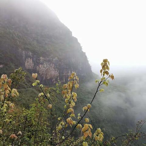 茶马古道之旅