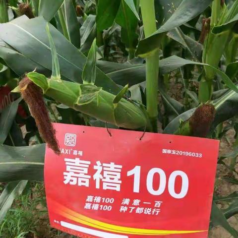 365益农商城新活动震撼来袭！