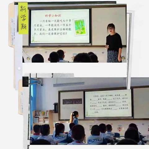 百尺竿头更思进 听课评课学为先——记金昌市实验小学2022年度秋季低年段语文主题督导课