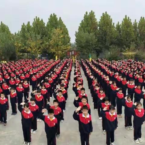 不负韶华争朝夕   返校复课再启航——英才四78返校小剪影