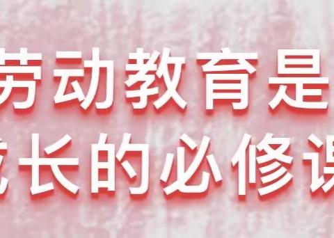 【尚真华电】劳动点亮生活，做“最美”劳动者