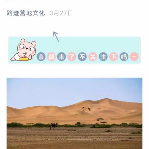 腾格里沙漠徒步（3）--广告篇