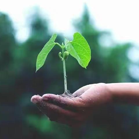 🌱春天将至，一切都会变的很美好🌱